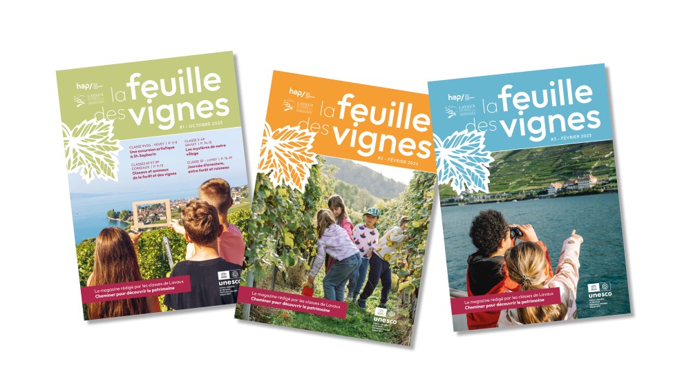 LPM La feuille des vignes montage3