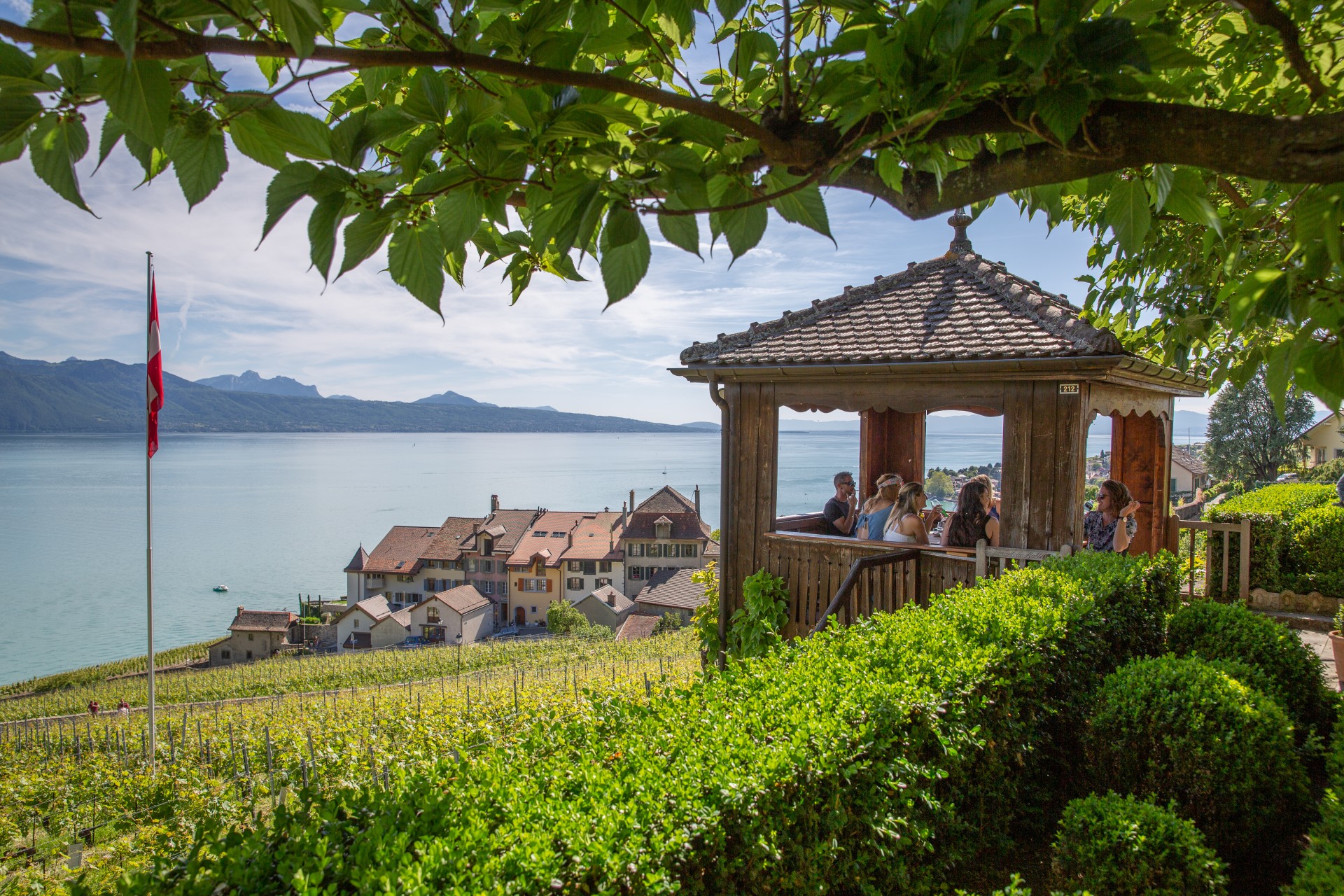 Lavaux COV2019 26