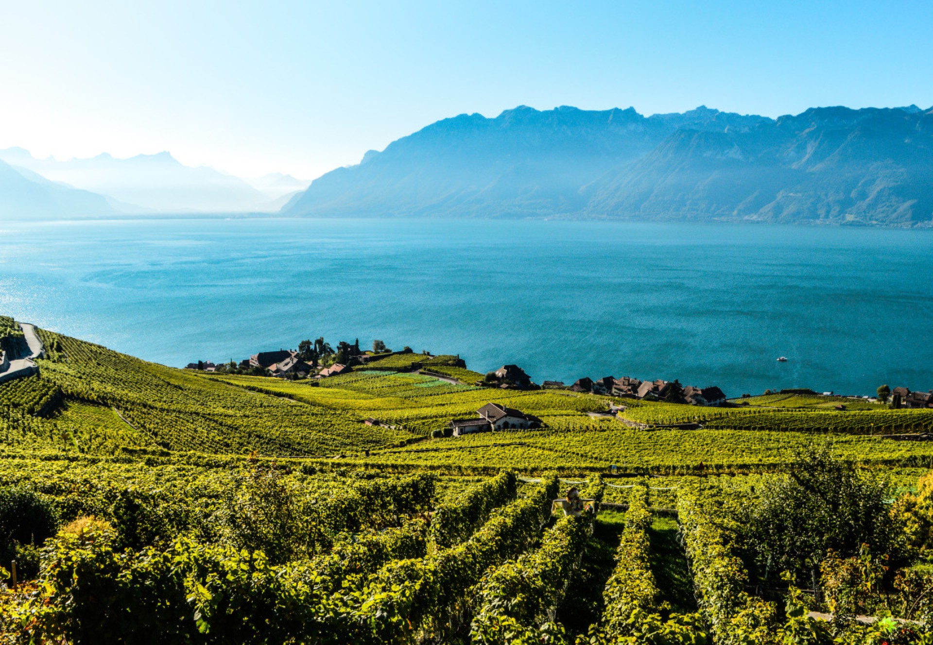 Lavaux Chexbres HD