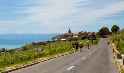 Lavaux visites guidees privees c vincent bailly lpm